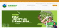 Hidroponik Purwakarta